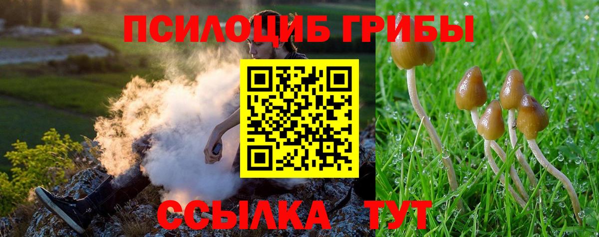 Галлюциногенные грибы мухоморы Тверь